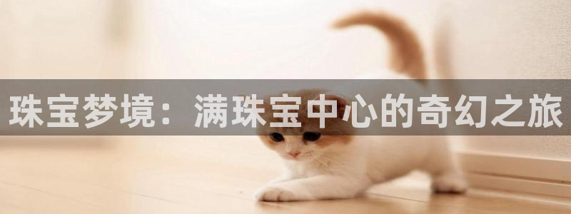新宝b2O5O5O：珠宝梦境：满珠宝中心的奇幻之旅