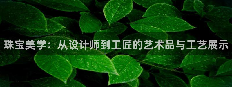 新宝5娱乐学：珠宝美学：从设计师到工匠的艺术品与工艺展示