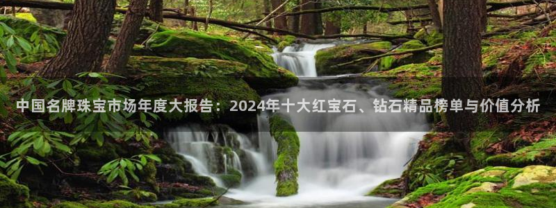 新宝5测速线路：中国名牌珠宝市场年度大报告：2024年十大红宝石、钻石精品榜单与