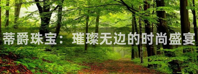 5新宝：蒂爵珠宝：璀璨无边的时尚盛宴