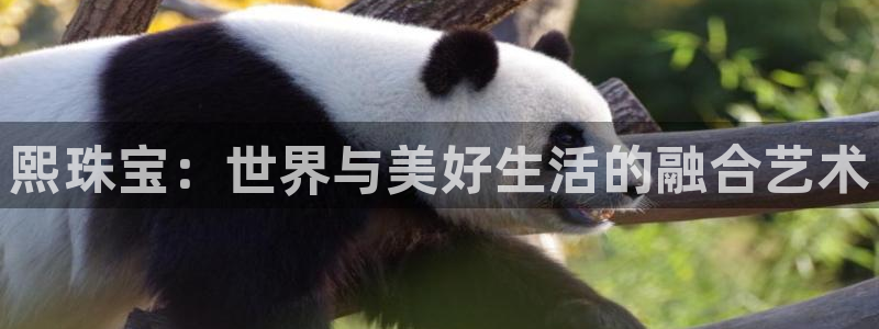 新宝5后：熙珠宝：世界与美好生活的融合艺术