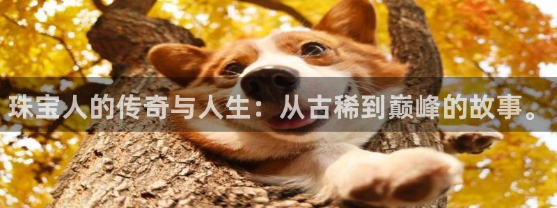 新宝5可靠吗：珠宝人的传奇与人生：从古稀到巅峰的故事。