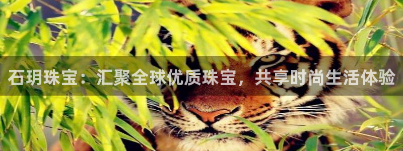 老新宝5授权登录：石玥珠宝：汇聚全球优质珠宝，共享时尚生活体验