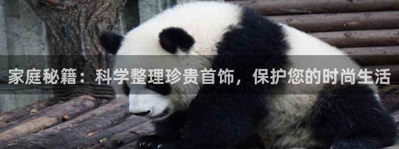 新宝5浗维33 300：家庭秘籍：科学整理珍贵首饰，保护您的时尚生活