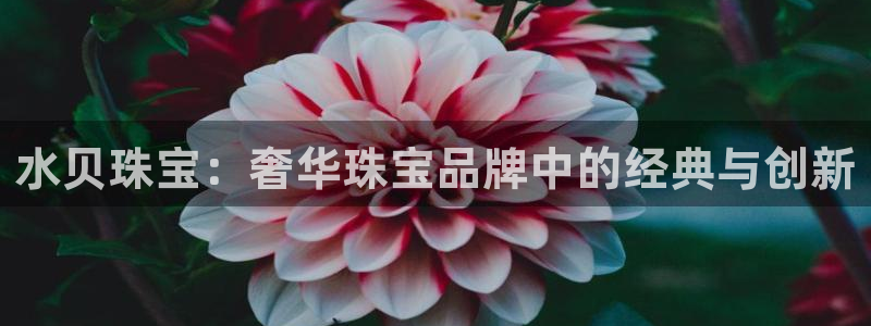 新宝5娱乐如：水贝珠宝：奢华珠宝品牌中的经典与创新
