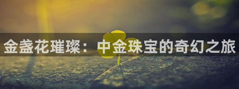 新宝5郑74OOO5：金盏花璀璨：中金珠宝的奇幻之旅