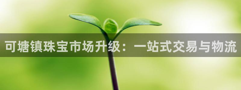 新宝5娱乐手机登录：可塘镇珠宝市场升级：一站式交易与物流