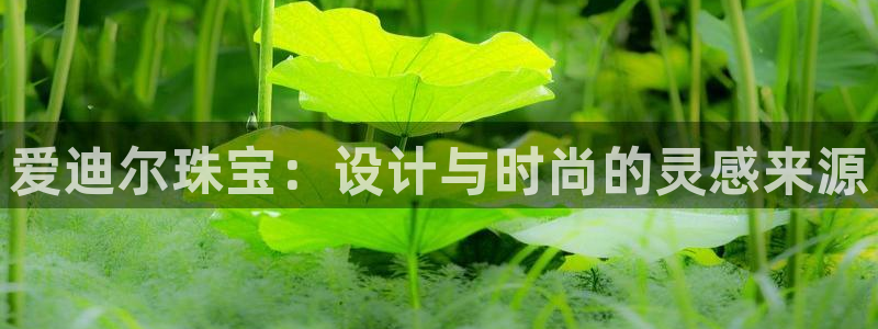 新宝5源码：爱迪尔珠宝：设计与时尚的灵感来源