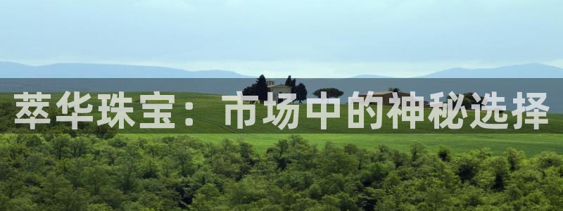 新宝5策略：萃华珠宝：市场中的神秘选择