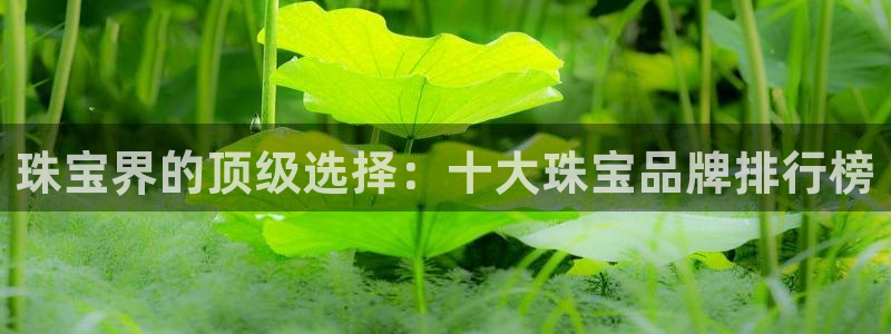 新宝5平台登录下载软件：珠宝界的顶级选择：十大珠宝品牌排行榜