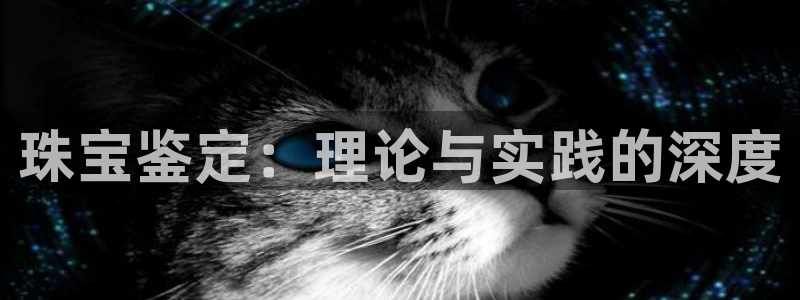 新宝5测速线路：珠宝鉴定：理论与实践的深度