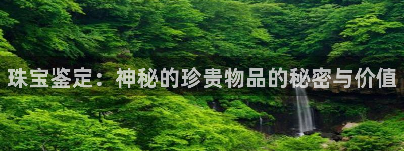 新宝5测速下载：珠宝鉴定：神秘的珍贵物品的秘密与价值