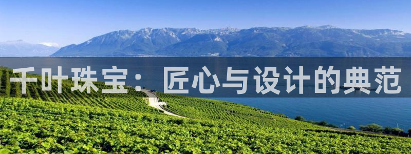 新宝5娱乐注