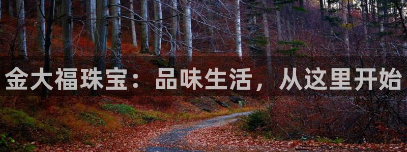 新宝股东瞧听2 5 5
