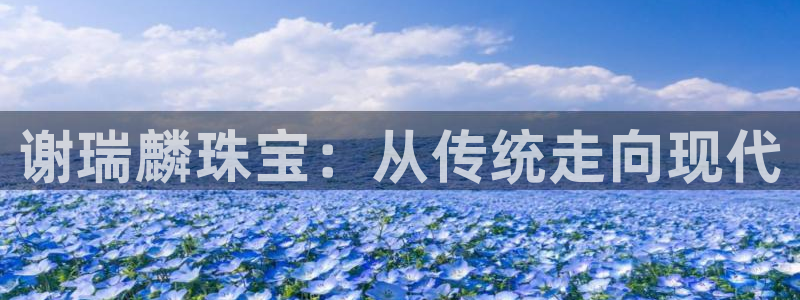 新宝股东王听2 5 5
