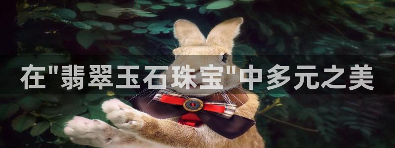 新宝5彩票娱乐平台