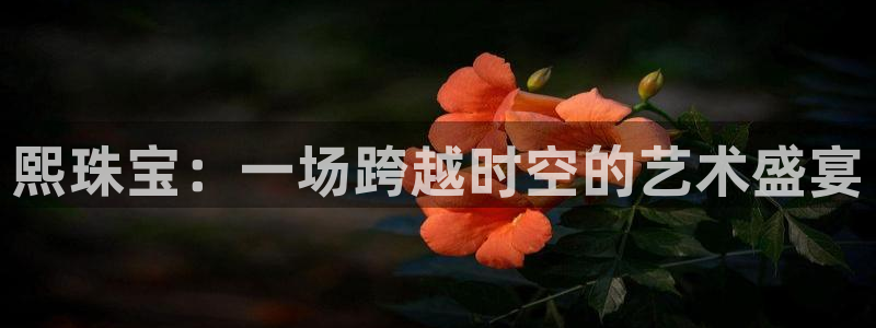 新宝5注册流程：熙珠宝：一场跨越时空的艺术盛宴