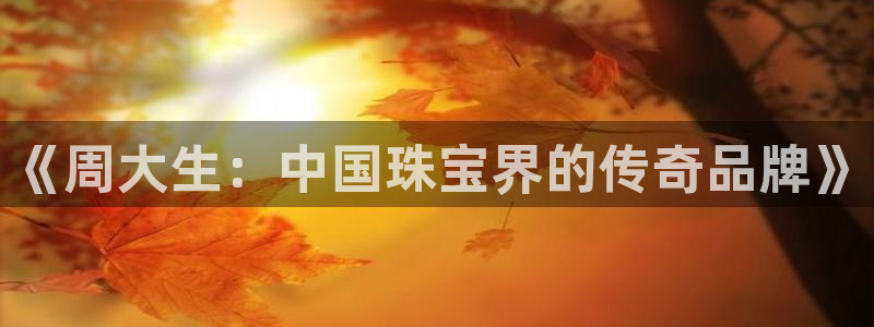 新宝5网