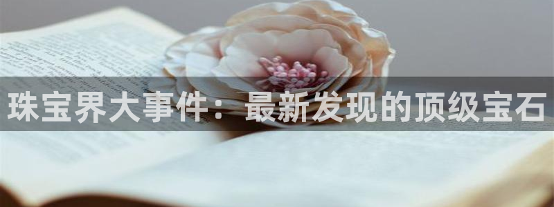 新宝那2O5O5O