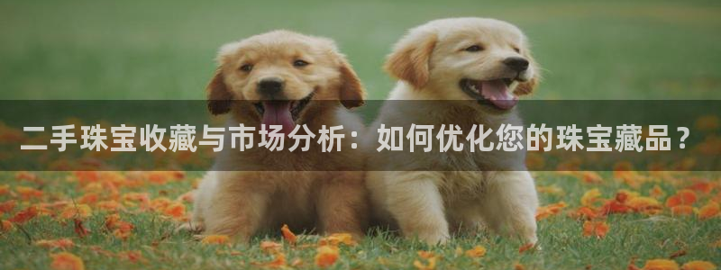 新宝G5：二手珠宝收藏与市场分析：如何优化您的珠宝藏品？