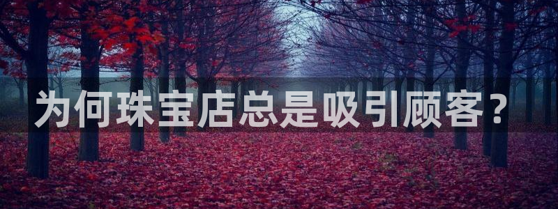 新宝5平台霸：为何珠宝店总是吸引顾客？