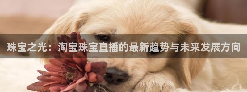 新宝5下载app：珠宝之光：淘宝珠宝直播的最新趋势与未来发展方向