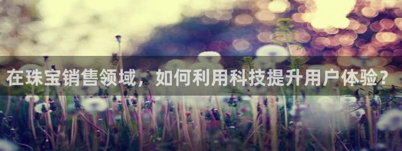 新宝5开户：在珠宝销售领域，如何利用科技提升用户体验？