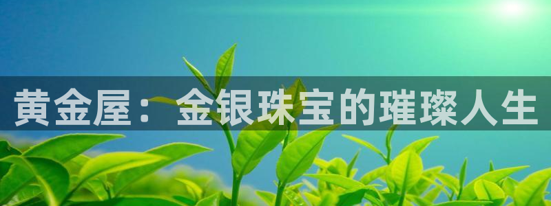 新宝5-：黄金屋：金银珠宝的璀璨人生