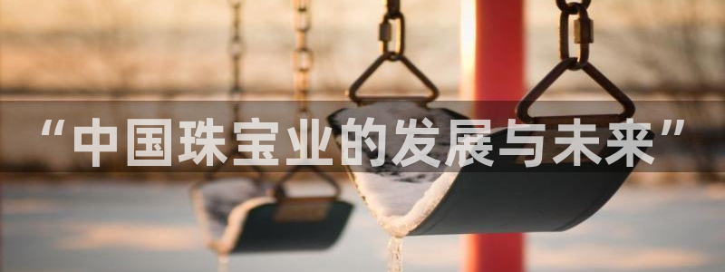 新宝j2O5O5O：“中国珠宝业的发展与未来”