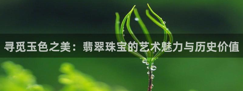 新宝5代理注册：寻觅玉色之美：翡翠珠宝的艺术魅力与历史价值
