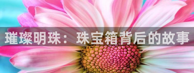 新宝5彩票平台登陆：璀璨明珠：珠宝箱背后的故事