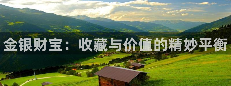 新宝5招商部：金银财宝：收藏与价值的精妙平衡
