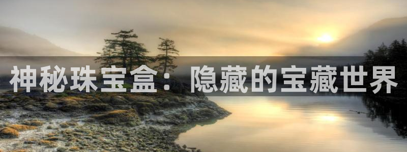 新宝5彩票娱乐平台：神秘珠宝盒：隐藏的宝藏世界