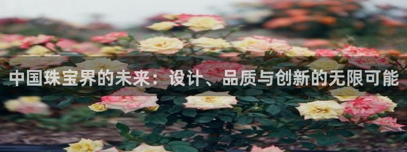 新宝5玩法：中国珠宝界的未来：设计、品质与创新的无限可能