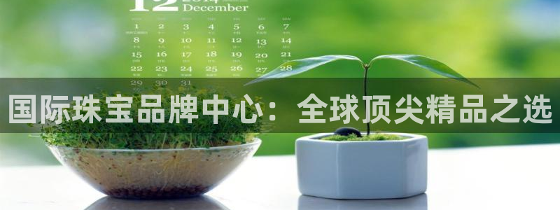 新宝股东瞧听2 5 5：国际珠宝品牌中心：全球顶尖精品之选