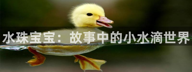 新宝5登录入口网址：水珠宝宝：故事中的小水滴世界