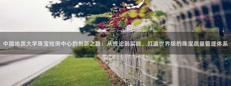 新宝5注册流程：中国地质大学珠宝检测中心的创新之路：从理论到实践，打造世界级的珠