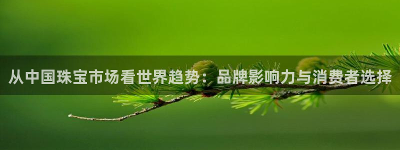新宝5唯一：从中国珠宝市场看世界趋势：品牌影响力与消费者选择