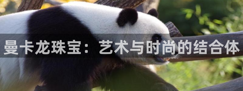 新宝5d：曼卡龙珠宝：艺术与时尚的结合体