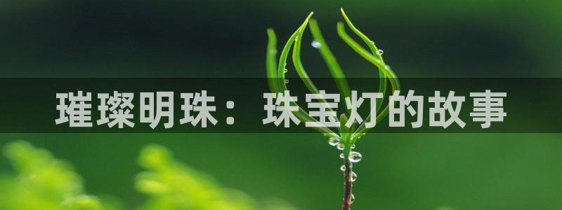 新宝5注册流程：璀璨明珠：珠宝灯的故事