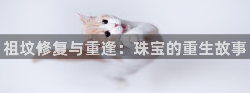 新宝5挂机：祖坟修复与重逢：珠宝的重生故事