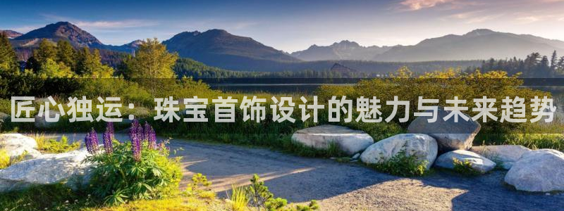 新宝那2O5O5O：匠心独运：珠宝首饰设计的魅力与未来趋势