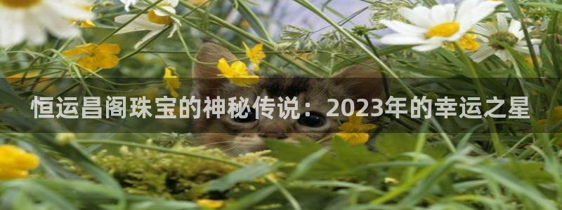 新宝5主管：恒运昌阁珠宝的神秘传说：2023年的幸运之星