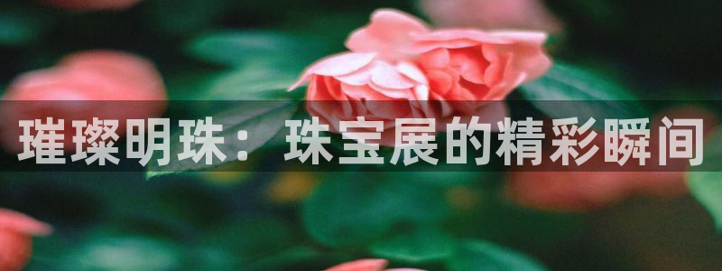 新宝5下载官方：璀璨明珠：珠宝展的精彩瞬间