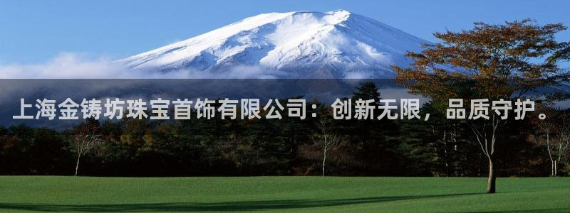 新宝5如何注册：上海金铸坊珠宝首饰有限公司：创新无限，品质守护。