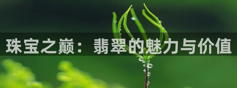 新宝5蒋74OOO5：珠宝之巅：翡翠的魅力与价值