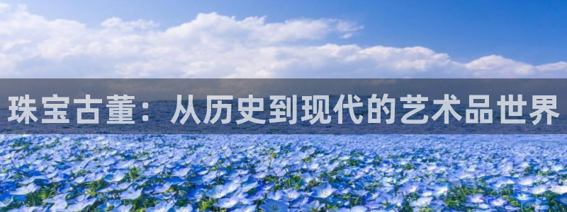 新宝5是什么样子的