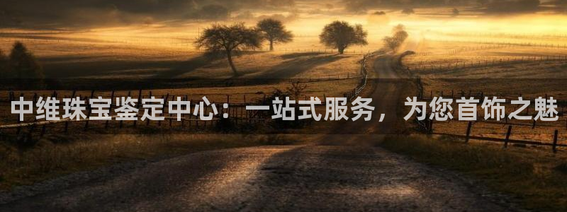 新宝5平台注册：中维珠宝鉴定中心：一站式服务，为您首饰之魅
