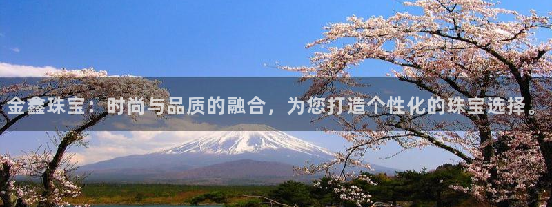 新宝5网：金鑫珠宝：时尚与品质的融合，为您打造个性化的珠宝选择。