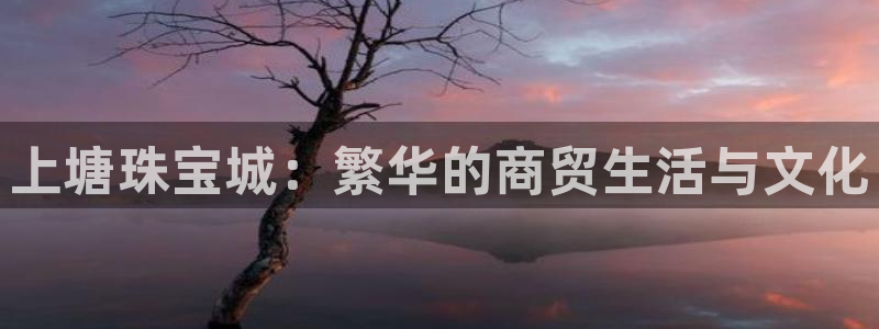 新宝5平台霸：上塘珠宝城：繁华的商贸生活与文化